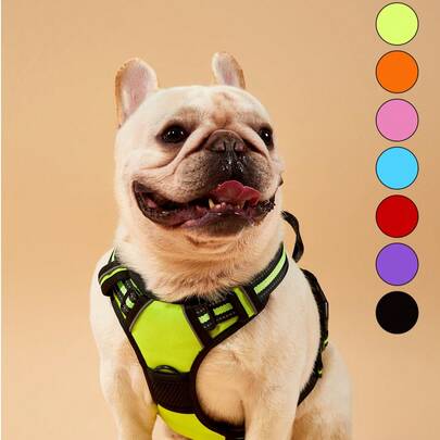 PETSIN Dây nịt chó, Dây nịt thú cưng không kéo có 2 kẹp dây xích, Áo vest cho chó có đệm mềm có thể điều chỉnh, Áo vest Oxford cho thú cưng không bị sặc phản quang có tay cầm điều khiển dễ dàng dành cho chó lớn-Áo vest và dây không phải là một bộ và cần phải mua riêng