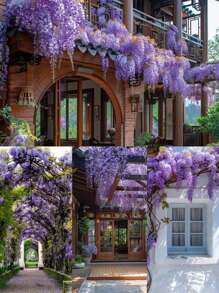 3/6/12 piezas Racimos de Flores Colgantes de Glicinia Púrpura a Granel, Vid Artificial de Glicinia Colgante, Guirnalda de Flores de Seda para Fiesta, Boda, Jardín, Decoración del Hogar, Día de San Valentín, Regalo, Cumpleaños, Graduación