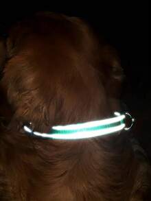 Personalized Reflective Dog Collar With Engraved ID Tag, Custom-Made Nylon Dog Collar With Leash Clip, Noiseless Design, Dog Outdoor Accessory And Decoration - Multiple Sizes Fit Large, Medium And Small Pets. A Good Gift For Pets.,Vacay Vibes Ornamental,Engraved Stylish,Fashion,Colorful,Vintage,Cute,Contracted,Cuties Custom,Unique,Customized,Personalized Pet For Anniversaries,For Birthdays,Customized Pet Collars, Leashes & Harnesses,Pet Lovers - Multicolor - View 9