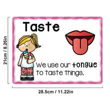5pcs Educational 5 Senses Posters - Preschool Classroom Learning Charts, High Quality Paper Wall Art, Waterproof, Ink, Large Size - Multicolor - View 6