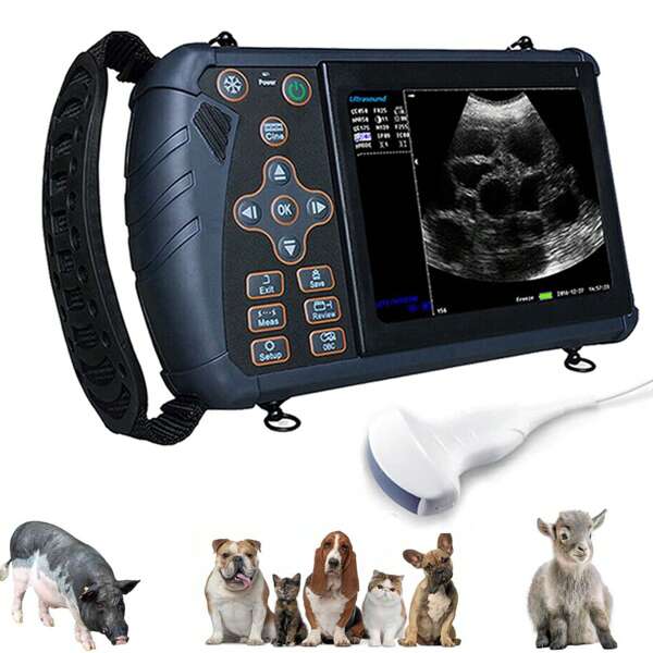 DAWEI Veterinary Ultrasound Equipment For Pregnancy Portable Scanner With 3.5Mhz Convex Probe Waterproof Probe For Pig,Sheep,Dog,Cat,Livestock,Pet Use