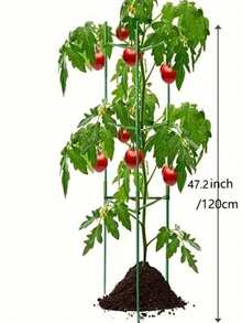 1个1.2米（3.9英尺）番茄笼，可组装番茄花园支架，蔬菜支撑架，攀援植物、蔬菜、花卉、水果、藤蔓的植物支撑架 - 綠色 - 查看 15
