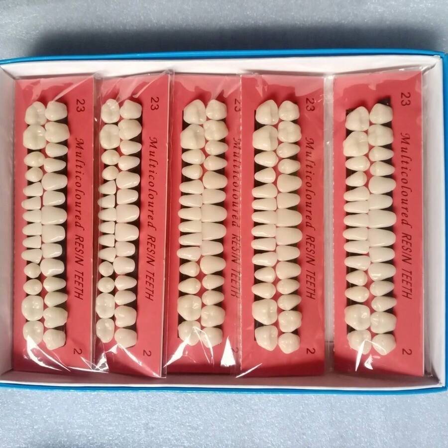 28件套树脂牙科比色板，牙科材料颜色对比板，树脂牙科模型，假牙 - 黃色 - 查看 1