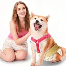 1 件狗尿布腰带夹，母狗衣服/裤子固定器，可调节尿布吊带，适用于大/中/小型犬 - 彩色 - 查看 4