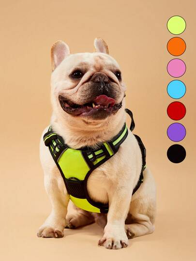 PETSIN Hundsele, husdjurssele utan dragning med 2 koppelklämmor, justerbar mjuk vadderad hundväst, reflekterande oxfordväst för husdjur utan kvävning med lätt kontrollhandtag för stora hundar - västen och repet är inte ett set och behöver köpas separat