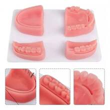 Kit de práctica de sutura dental modelo de silicona realista con placa inferior herramienta educativa para simulación profesional material odontológico de entrenamiento - Multicolor - Ver 2