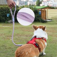 1 pièce Laisse de voiture pour animaux de compagnie, corde de traction de voiture pour animaux de compagnie pour promener les chiens, convient aux chiens de taille moyenne et petite