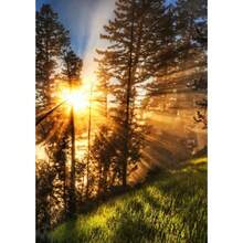 1 buc Verde Închis Pădure Ceață Peisaj Montan Natura Poster Artă de Perete Imprimare Acasă Living Dormitor Cameră Bar Decor Cadou Cadru Opțional - Multicolor - Vizualizare 43