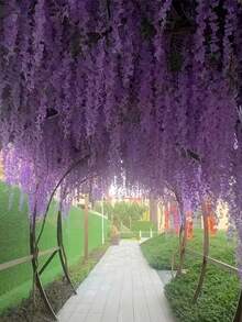 10 pièces Décoration florale suspendue en fleurs de glycine artificielles, convient pour mariage, fête, décoration de la maison, décoration florale murale/plafond verte. Parfaite décoration suspendue pour mariage, fête, anniversaire, rassemblement familial, Saint-Valentin, et un excellent cadeau. (Remarque - Si vous sentez une odeur de plastique à l'ouverture de l'emballage, veuillez le placer à côté pour la ventilation, cela n'affectera pas l'utilisation) - Multicolore - Voir 6