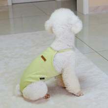 Couches pour animaux de compagnie réglables, pantalons physiologiques pour petits chiens anti-harcèlement, convenant aux Bull Terriers