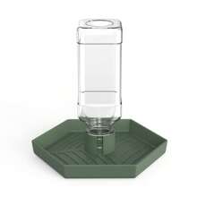 Distributore automatico d'acqua per rettili NOMOYPET, ciotola per bere per terrari per lucertole, tartarughe, lumache, ragni, rane, draghi barbuti - recipiente per acqua in plastica resistente, capacità 250ml/8,45oz