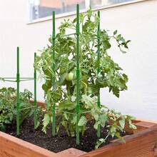 1个1.2米（3.9英尺）番茄笼，可组装番茄花园支架，蔬菜支撑架，攀援植物、蔬菜、花卉、水果、藤蔓的植物支撑架 - 綠色 - 查看 6