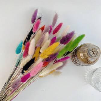 60 piezas de hierba de pampa natural colorida, decoración navideña, cola de conejo, flores secas, estilo bohemio para decoración del hogar, decoración de otoño