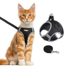 2pcs Dog Harness, Soft Breathable Pet Vest Harness For Small/Medium Dogs And Cats - Multicolor - View 1