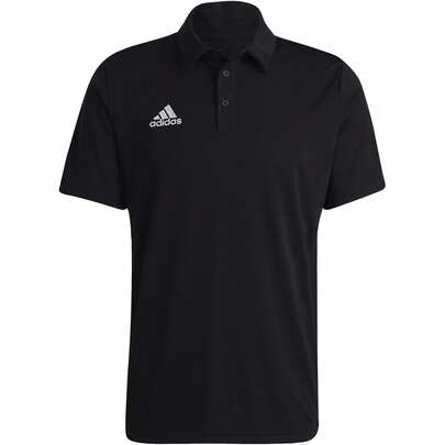 Adidas Entrada Polo