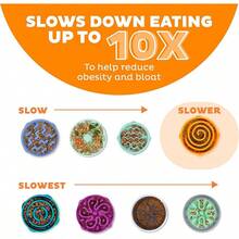 CRUTOutward Hound Fun Feeder Slo Bowl, Large Slow Feeder Dog Bowl, 4 Cups, Purple