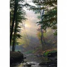 1 buc Verde Închis Pădure Ceață Peisaj Montan Natura Poster Artă de Perete Imprimare Acasă Living Dormitor Cameră Bar Decor Cadou Cadru Opțional - Multicolor - Vizualizare 27