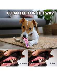 1pc欧美新款创意遥控造型宠物咬胶玩具幼犬磨牙玩具仿真遥控咬胶玩具无聊刺激小狗磨牙玩具中小型猫狗玩具猫玩具狗玩具宠物磨牙棒 - 彩色 - 查看 3