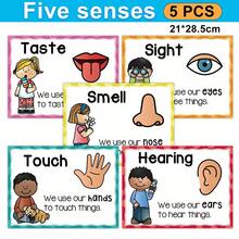 5pcs Educational 5 Senses Posters - Preschool Classroom Learning Charts, High Quality Paper Wall Art, Waterproof, Ink, Large Size - Multicolor - View 9