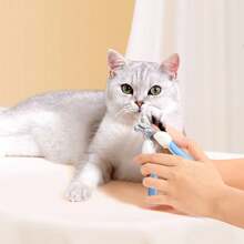 3er Set Hundsepflege-Zubehör: Haarbürste, Nagelknipser, Feile. Haarbürste, Entwirrbürste, Massagebürste, Hunde-Unterfellbürste, Katzen-Unterfellbürste. Geeignet für den täglichen Gebrauch bei allen Katzen und Hunden