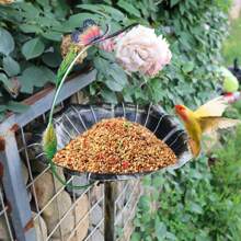 1pc Iron Butterfly Shaped Outdoor Bird Feeder, Suitable For Courtyards, Gardens, And Lawns, Easy Installation