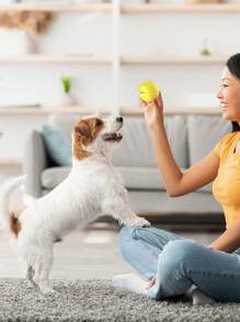 1 كرة أليف ذكية جديدة، وضعان، مزودة بإضاءة LED مدمجة، لعبة كلاب، للمشي مع الكلب/القط، للترفيه الذاتي، لعبة مضغ للحيوانات الأليفة، لإغراء الحيوان الأليف، كرة قفز آلية