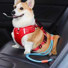 1 pièce Laisse de voiture pour animaux de compagnie, corde de traction de voiture pour animaux de compagnie pour promener les chiens, convient aux chiens de taille moyenne et petite
