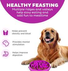 Hound Fun Feeder Slo Bowl, Large Slow Feeder Dog Bowl, 4 Cups, Purple