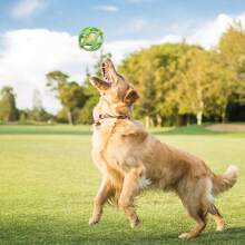 Noisy Pet Rattle Balls, Cats & Dogs Self-Playing Bounce & Chewable Toy With Bells, Interactive Training Toys, Multicolor Options