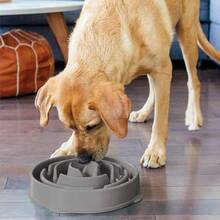 Outward Hound Fun Feeder Slo Bowl, Large Slow Feeder Dog Bowl, 4 Cups, Orange
