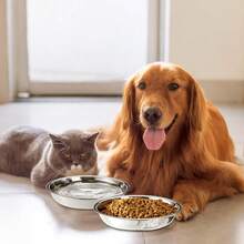 Paquete de 5 tazones de acero inoxidable para gatos, plato de comida y agua de metal de 7,7", cuenco básico de alimentación para mascotas de 16 onzas para gatitos, cachorros, plato de reemplazo ancho y poco profundo para perros, soporte elevado, apto para lavavajillas - 1 - Ver 7