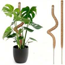 1pc Moss Pole For Monstera Creepers Climbing Indoor Plant Extension Support Stake Frame