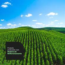 Mesa de Cabeceira Neko com Casinha Para Gato e Nicho Integrado Branco  - Desk Design