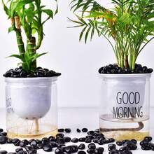 QYDCX Polierter Steinset, handverlesene Cabochons und Kristalle in Großpackung für Heilung, Reiki, Meditation, Hexerei und Heimdekoration