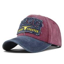 1pc Men's Texas Letter Embroidered Baseball Cap