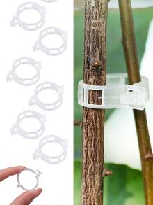 100个花园番茄夹 - 植物支撑，促进更健康、直立的生长