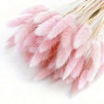 60/120 piezas Decoración de flores naturales secas, flores de hierba de cola de conejo secas naturales, pasto pampa seco, usado para decoración del hogar, decoración de boda, decoración de fiesta, manualidades DIY, accesorios para fotografía, decoración temática, 17,7 pulgadas (Blanco), Decoración de otoño