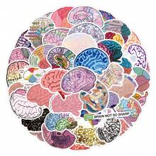 55Pcs Brain Stickers Vinyl Aesthetics Stickers For Scrapbooking, Diary, Laptop, Bumper, Skateboard, Water Bottle, Computer, Phone, Cartoon, Hard Hat, Car Stickers And Decals - Multicolor - View 1