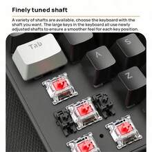 Acer OKW132 机械键盘 | 优质机械开关和背光键帽、耐用的金属面板、舒适的人体工程学设计、即插即用的便利性！