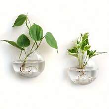1/2/4/6/8/10 Semi-Circular Acrylic Hook Vase Wall Mounted Hydroponic Plant Office Wall Decoration Ins Style - Clear - View 10