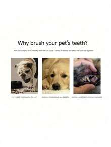 6件装可重复使用宠物牙刷，硅胶材质，耐用，刷毛柔软，温和呵护牙龈，易于清洁，宠物口腔护理工具