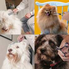 6 Pieces Professional Pet Grooming Scissors Set, Stainless Steel Dog And Cat Hair Thinning Shears With Downward Curved, Straight, Upward Curved Scissors And Comb, Ambidextrous Use