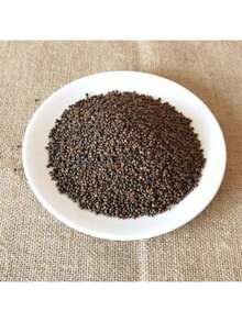 500 Blue Iris Flower Seeds Butterfly Seeds - High-Quality Perennial Flowers, Perfect For Pots & Gardens