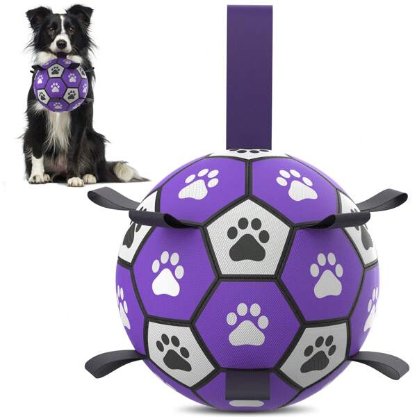 Jouet pour chien de compagnie avec bande tressée en forme de ballon de football, jouet interactif pour chien d'intérieur/extérieur, ballon de football régulier pour chien, convient aux chiens petits/moyens/grands