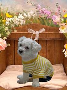 2025新款条纹连体衣宠物衣服小型犬春秋款贵宾犬比熊犬幼犬防脱毛服