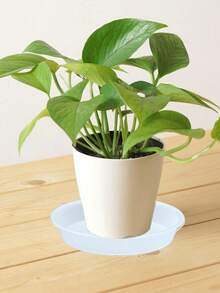 6 Packs Plant Saucer Drip Tray 6 Inch Heavy Sturdy Plastic Planter Flower Pot Saucers For Indoor Outdoor Garden Plant Water Drip Trays For Pots Base