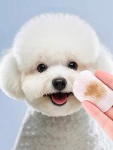 100 Pcs, Dog Mom/Cat Mom/Dog Lover/Cat Lover, Pet Eye Special Wet Wipes Gentle Tear Stain Removal Cleaning Wet Wipes - Pet Eye Special Tear Stain Removal, Soft And Easy To Use, Non-Irritating