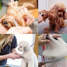 6 Pieces Professional Pet Grooming Scissors Set, Stainless Steel Dog And Cat Hair Thinning Shears With Downward Curved, Straight, Upward Curved Scissors And Comb, Ambidextrous Use