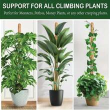 1pc Moss Pole For Monstera Creepers Climbing Indoor Plant Extension Support Stake Frame