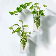2/4/6 件亚克力圆柱壁挂花瓶，创意悬挂花盆，水培植物容器，室内外抛光塑料植物架，装饰艺术风格花卉图案